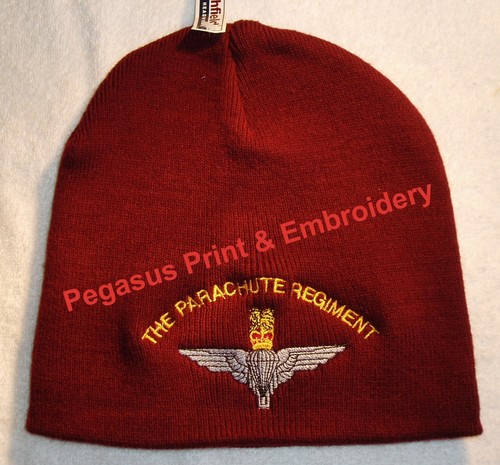 The parachute regiment - the,