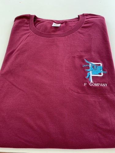 Parachute regiment company - parachute, p