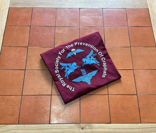 The parachute regiment - the,