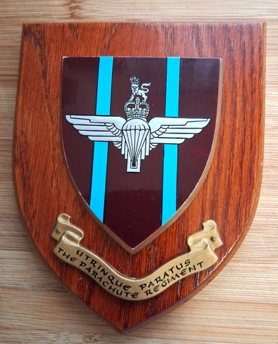 The parachute regiment - the,